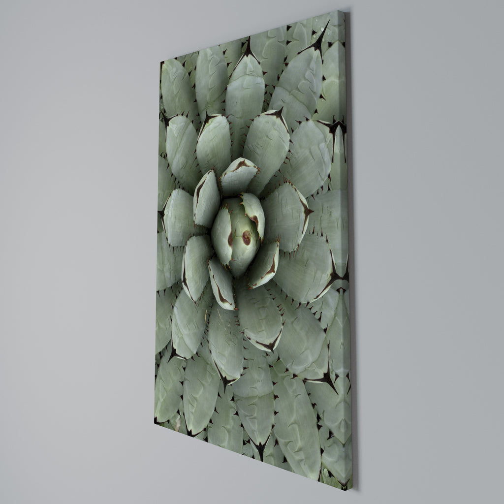 SUCCULENT SYMMETRY Vertical Canvas Print