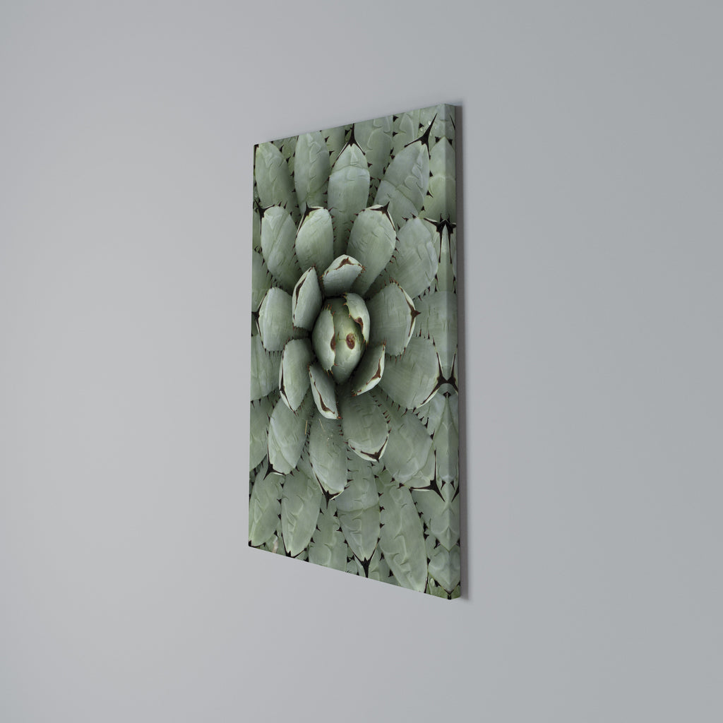SUCCULENT SYMMETRY Vertical Canvas Print