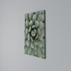 SUCCULENT SYMMETRY Vertical Canvas Print