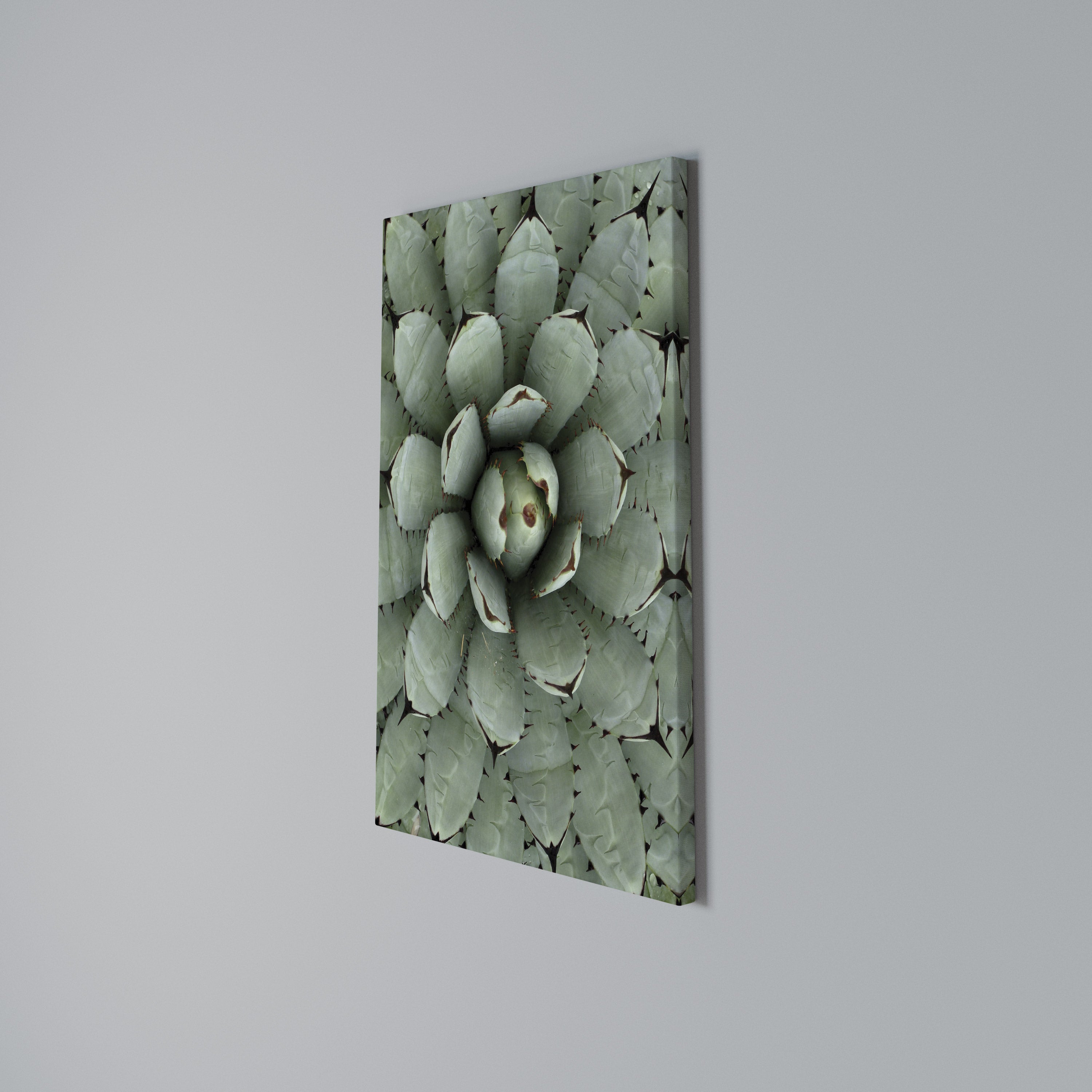 SUCCULENT SYMMETRY Vertical Canvas Print