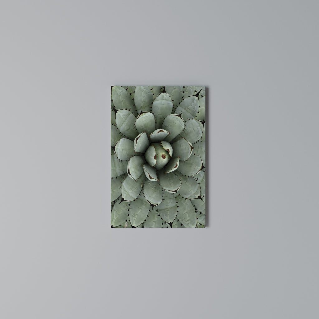 SUCCULENT SYMMETRY Vertical Canvas Print
