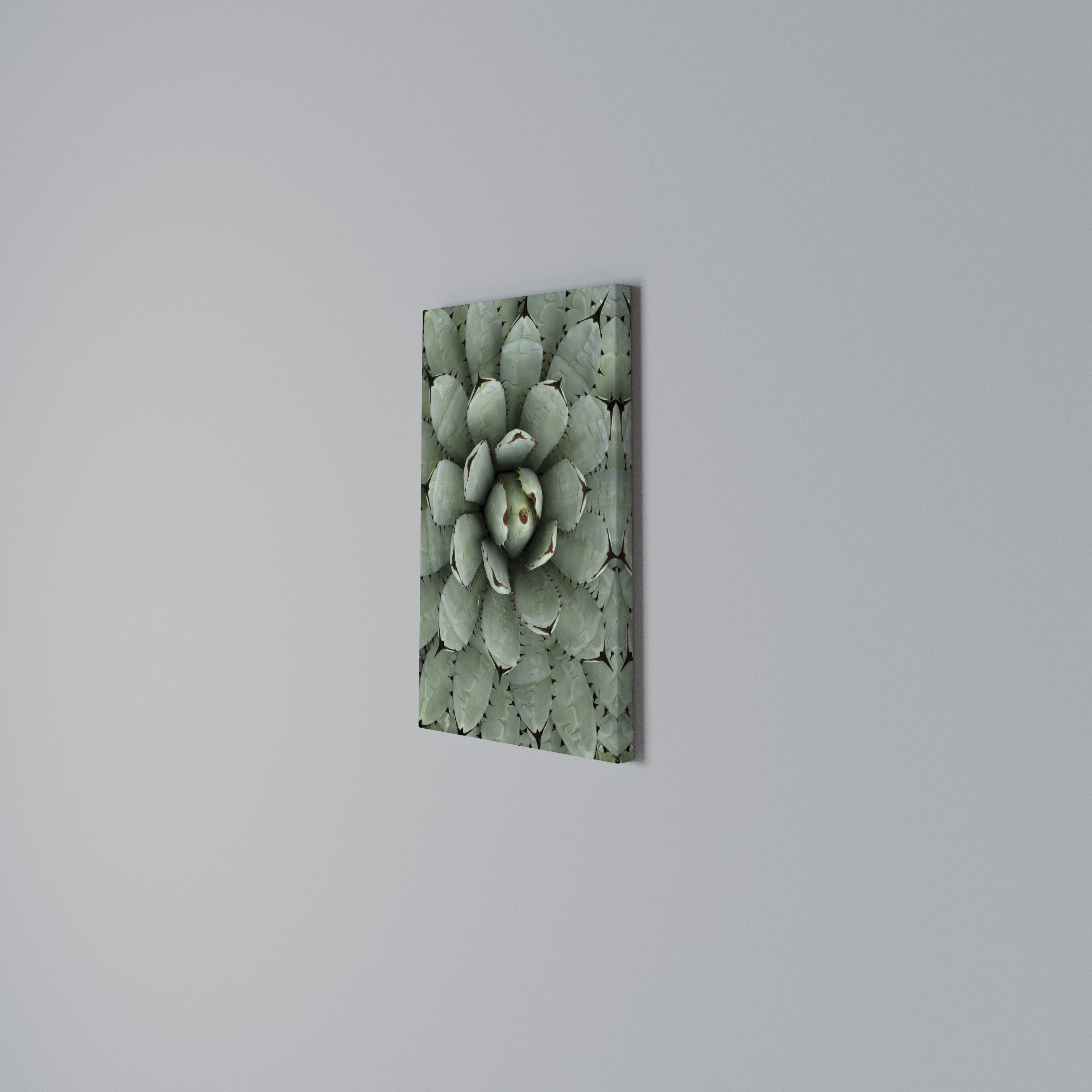 SUCCULENT SYMMETRY Vertical Canvas Print