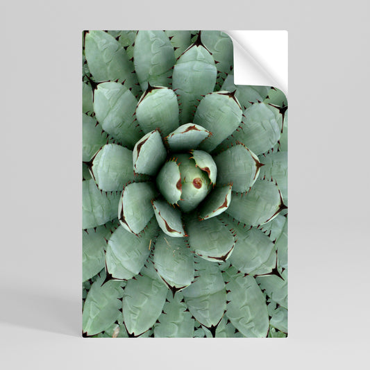 SUCCULENT SYMMETRY Svislý samolepicí plakát