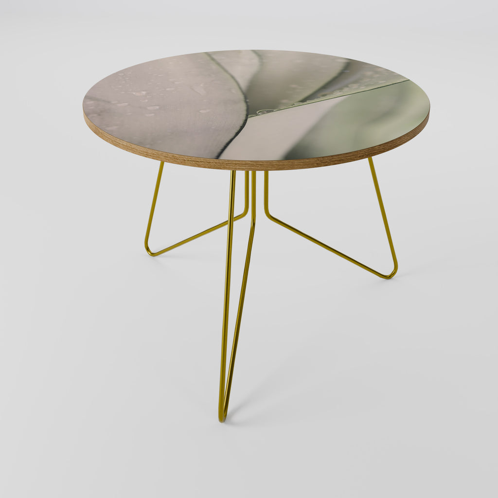 NATURE'S TAPESTRY Konferenční stolek