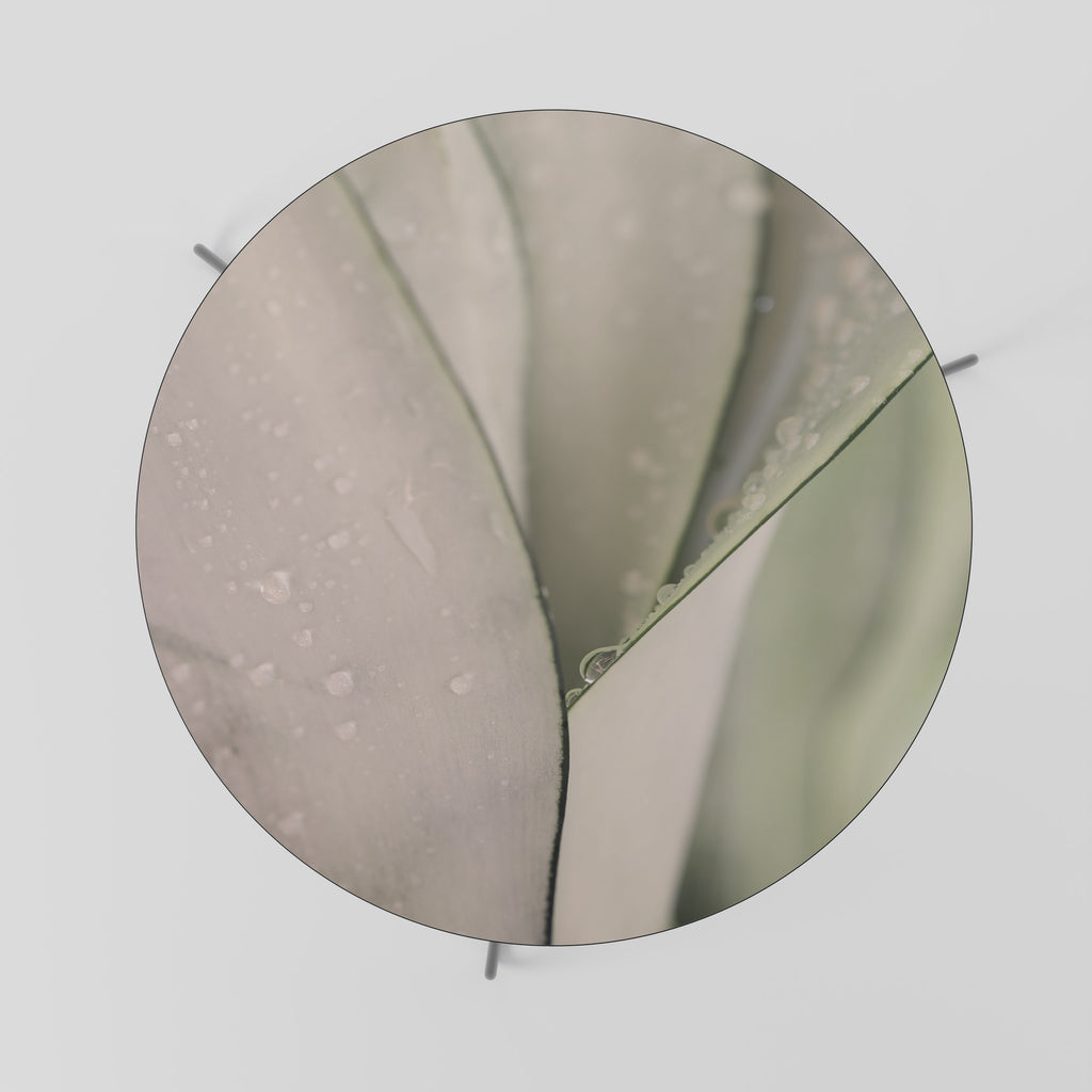 NATURE'S TAPESTRY Konferenční stolek