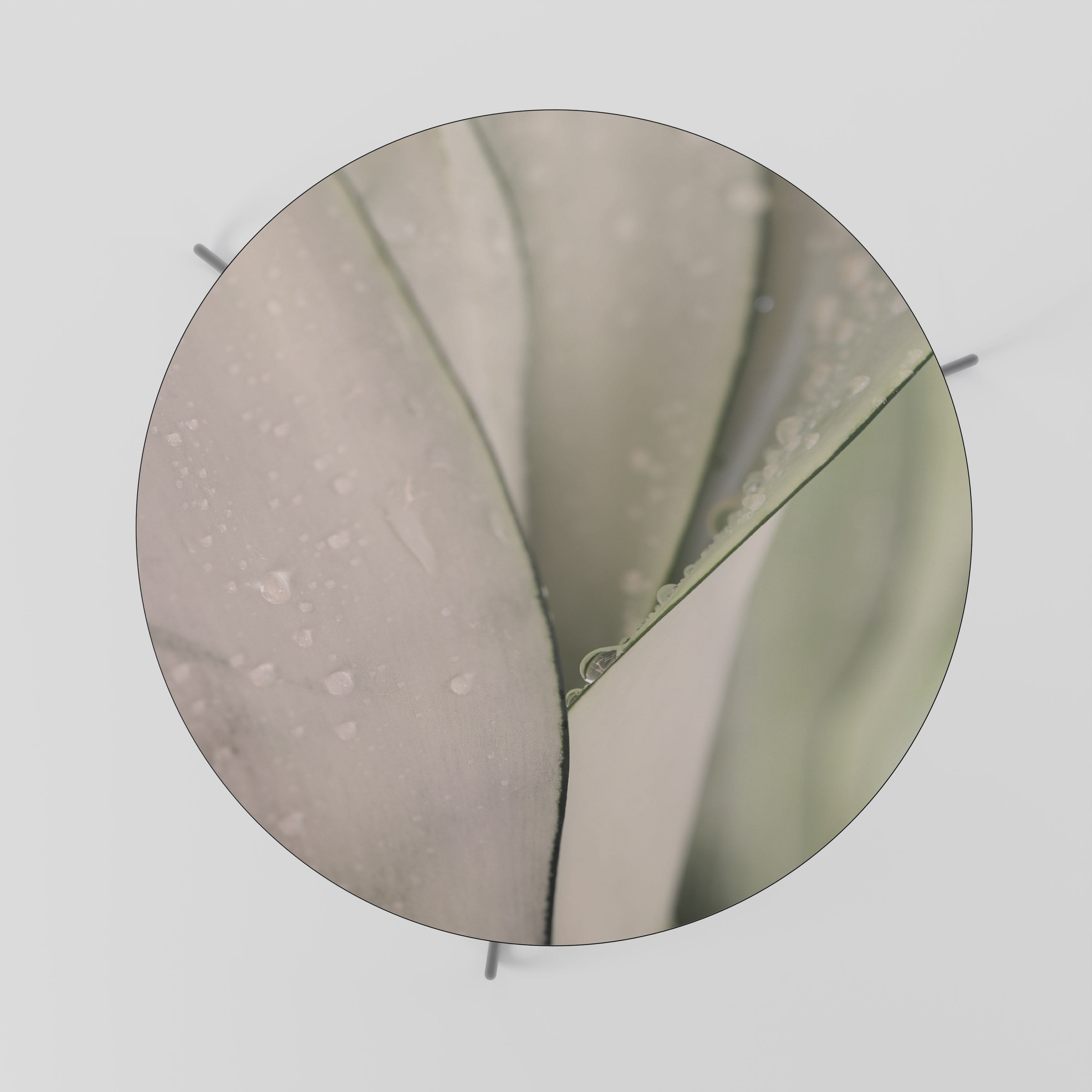 NATURE'S TAPESTRY Konferenční stolek