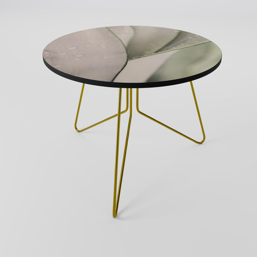 NATURE'S TAPESTRY Konferenční stolek