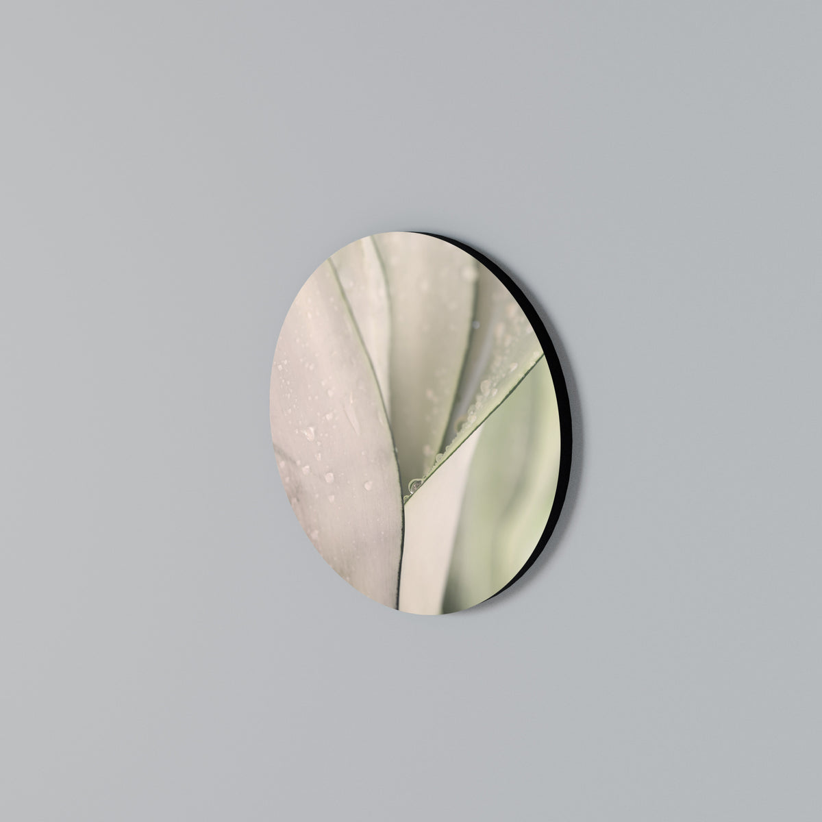 NATURE'S TAPESTRY Kulatá nástěnná dekorace