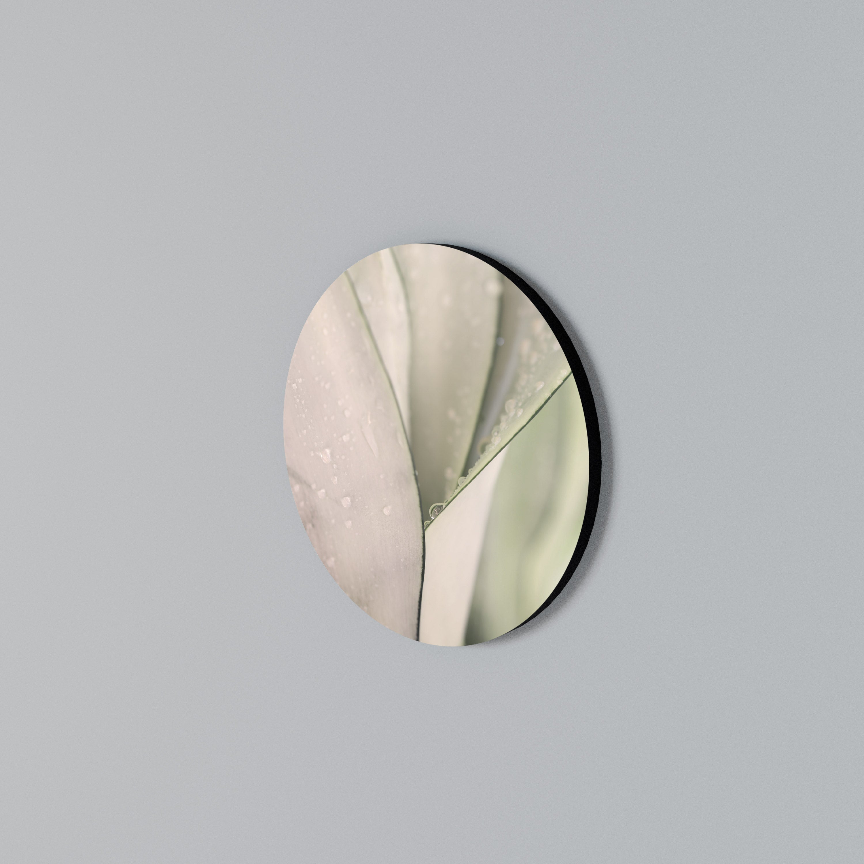 NATURE'S TAPESTRY Round Wall Art