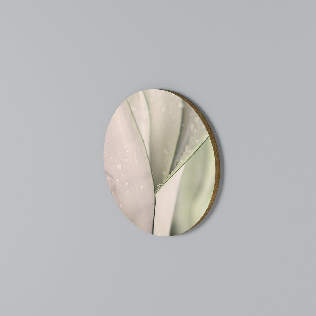 NATURE'S TAPESTRY Kulatá nástěnná dekorace