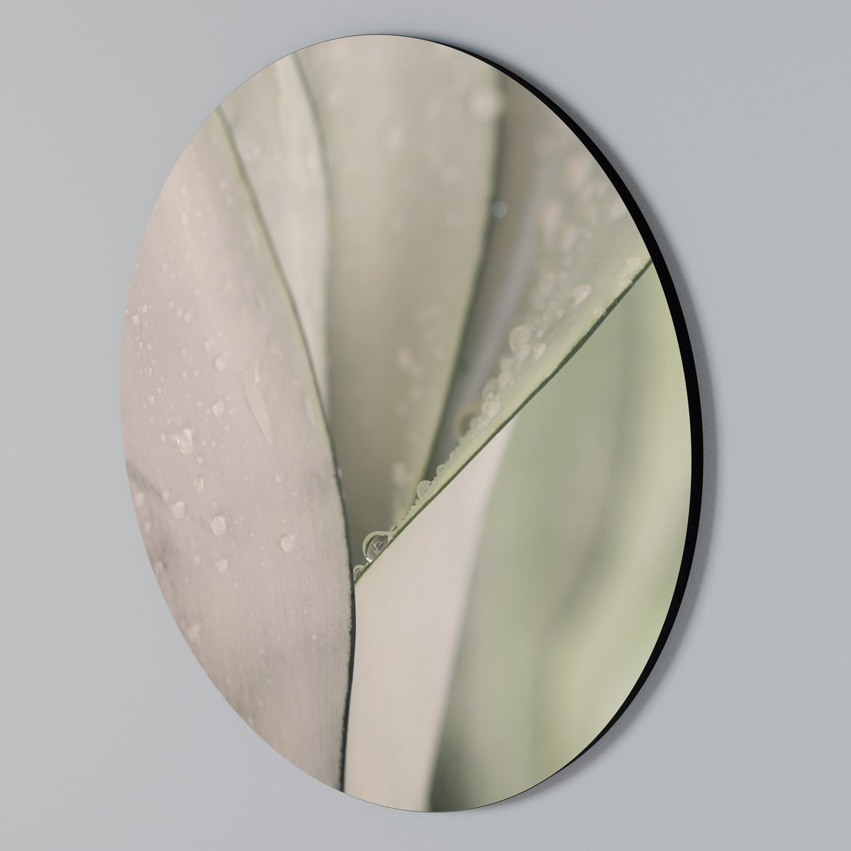 NATURE'S TAPESTRY Kulatá nástěnná dekorace