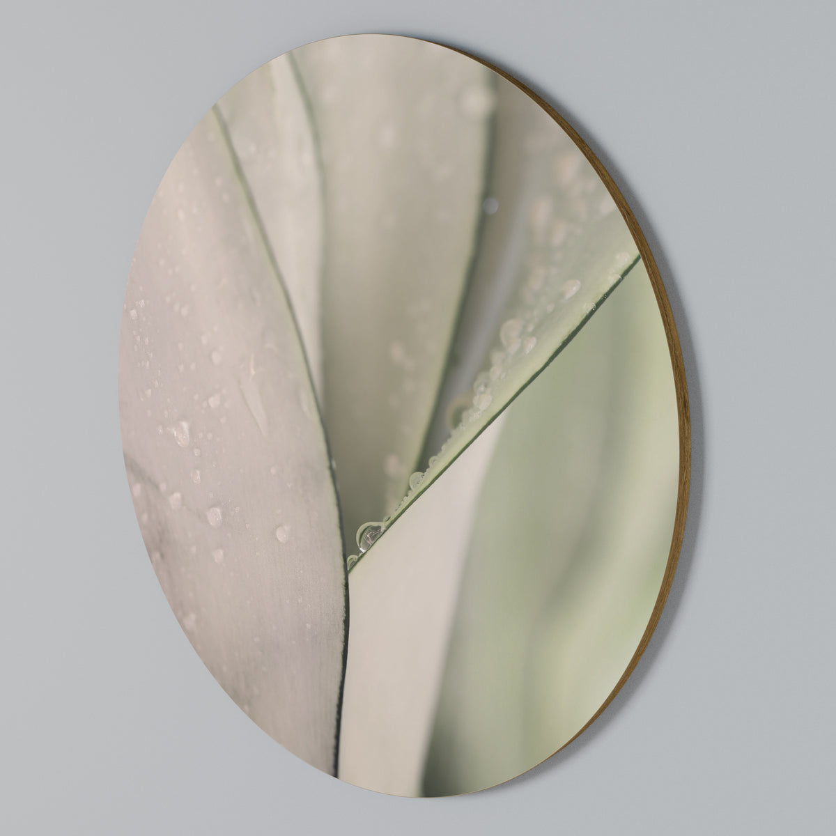 NATURE'S TAPESTRY Kulatá nástěnná dekorace