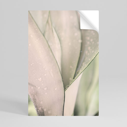 NATURE'S TAPESTRY Svislý samolepicí plakát