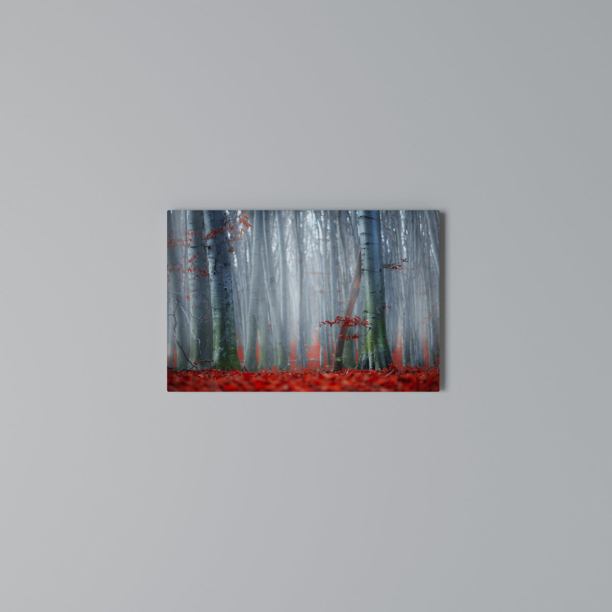 TRANQUIL RED ELEGANCE Horizontal Canvas Print