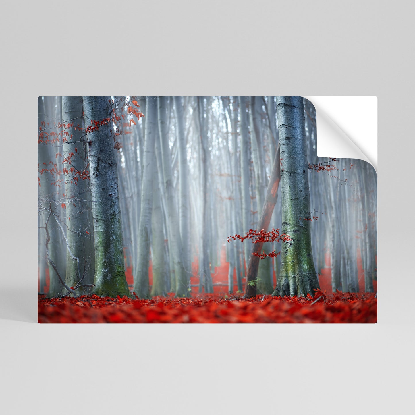 TRANQUIL RED ELEGANCE Vodorovný samolepicí plakát