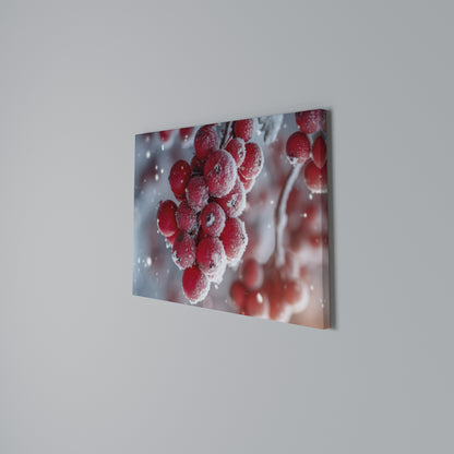 WINTER'S CRIMSON TREASURES Horizontal Canvas Print