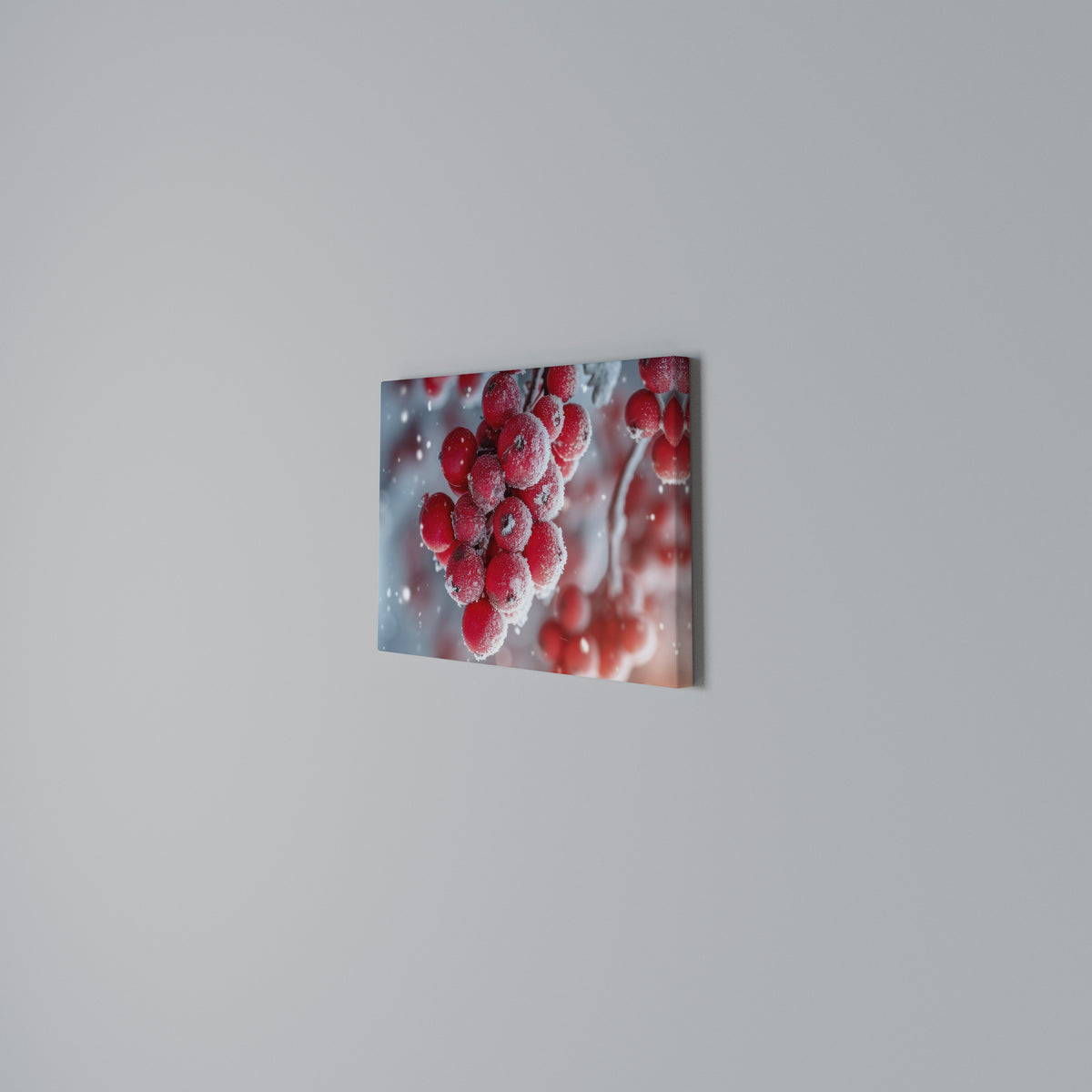 WINTER'S CRIMSON TREASURES Horizontal Canvas Print