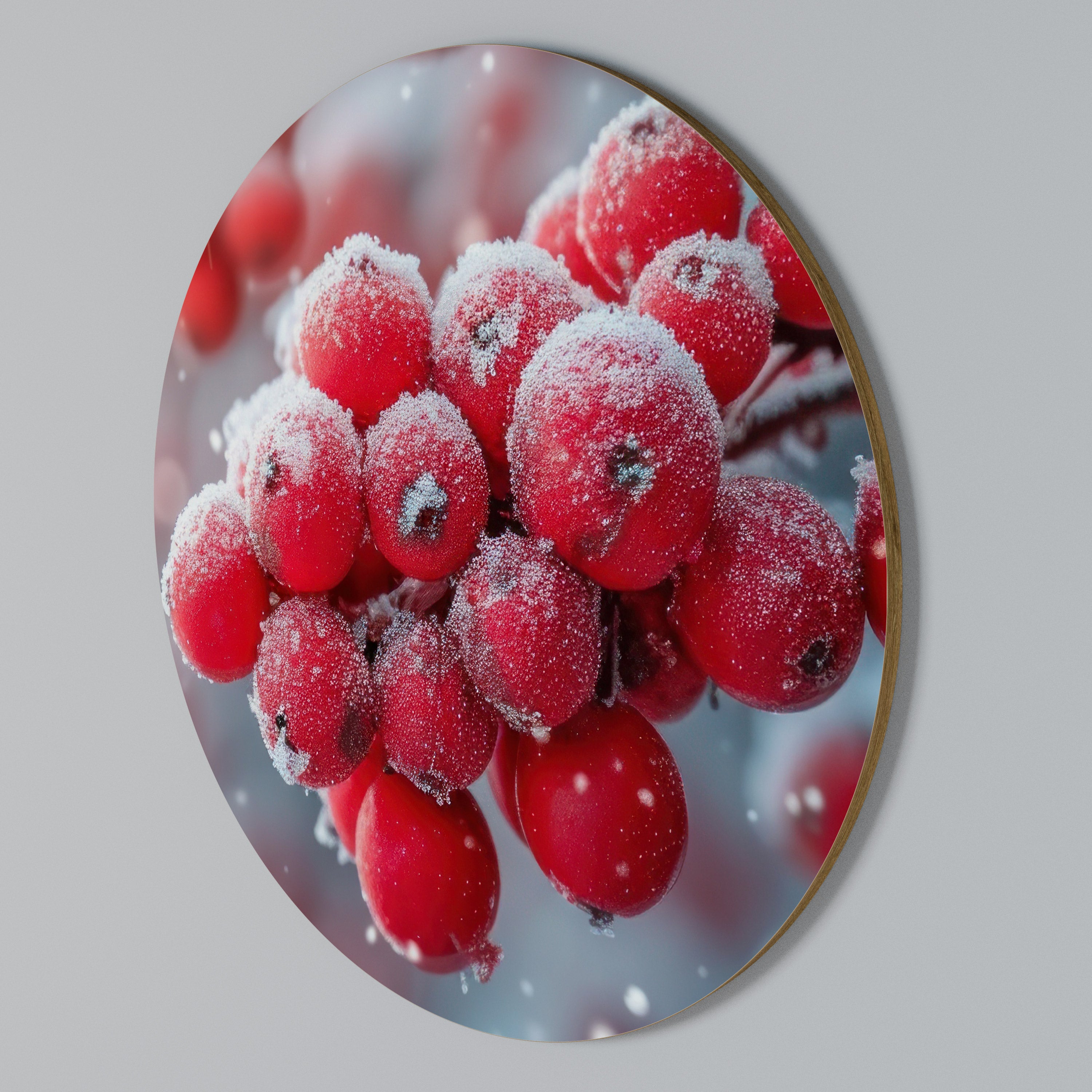 WINTER'S CRIMSON TREASURES Round Wall Art