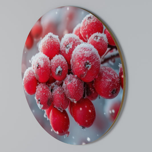 WINTER'S CRIMSON TREASURES Kulatá nástěnná dekorace