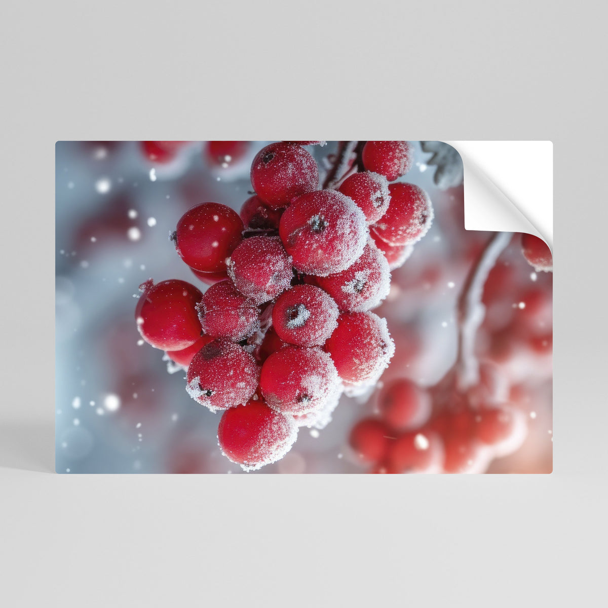 WINTER'S CRIMSON TREASURES Vodorovný samolepicí plakát