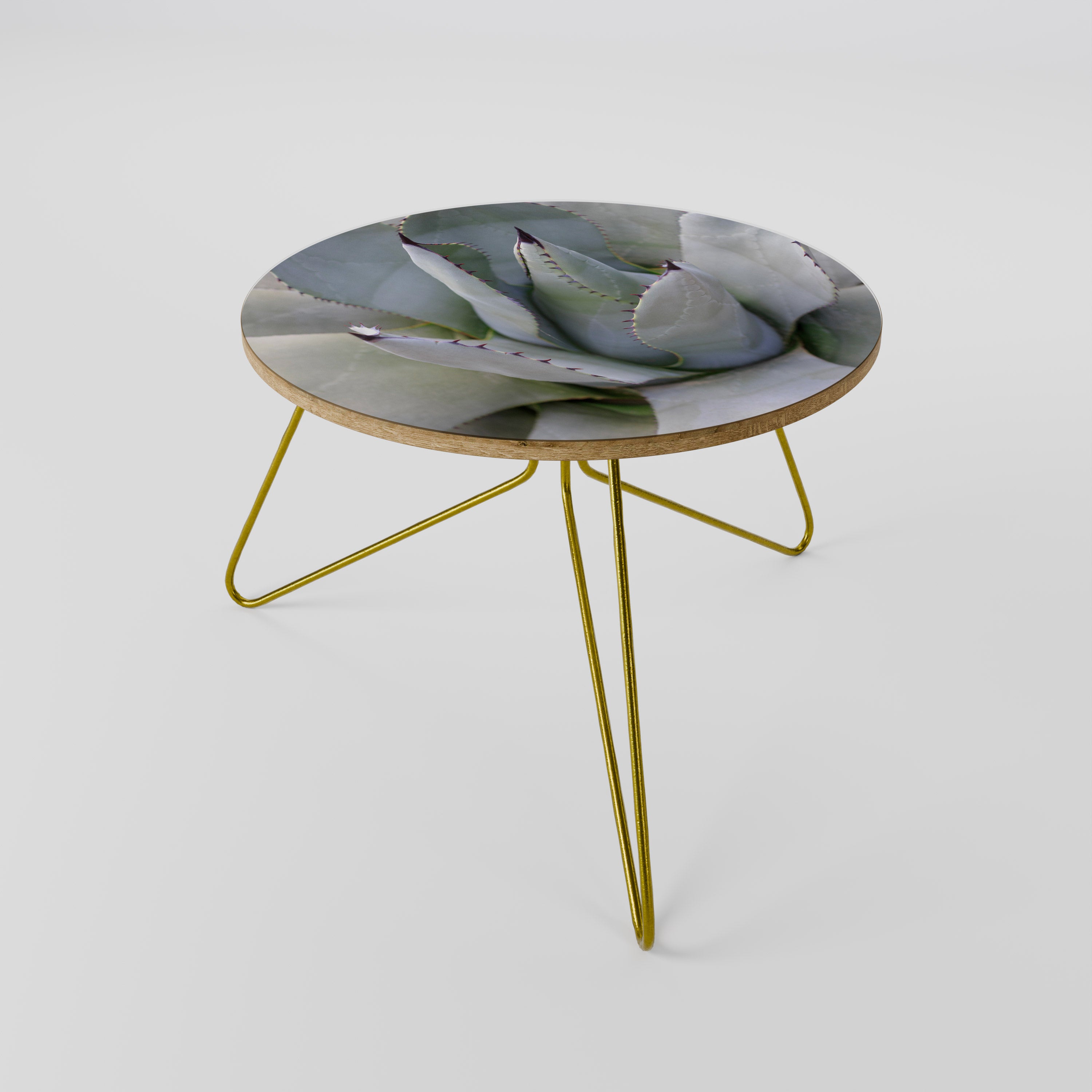 AGAVE ELEGANCE Coffee Table