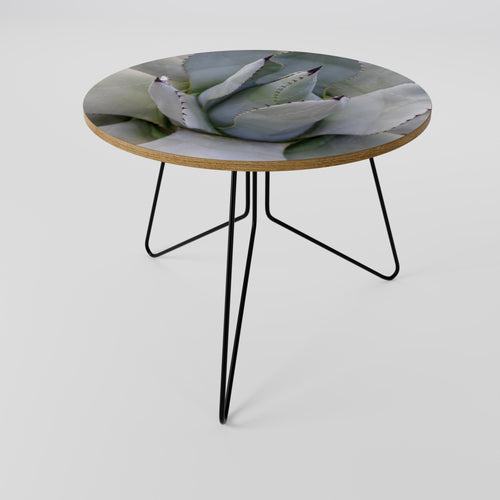 AGAVE ELEGANCE Coffee Table