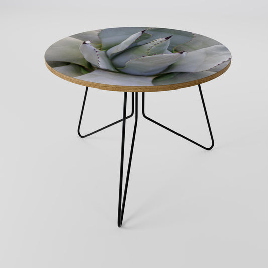 AGAVE ELEGANCE Konferenční stolek