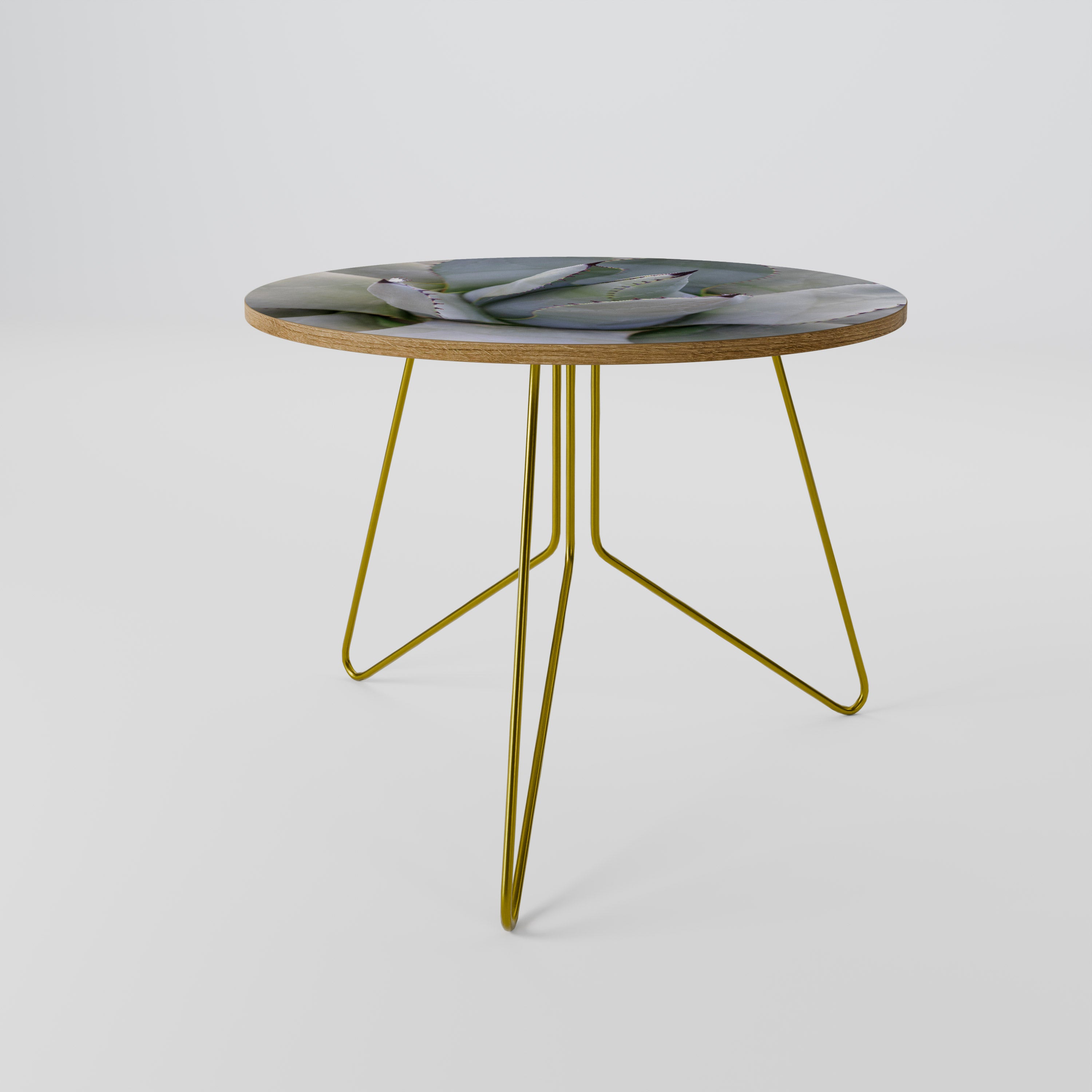 AGAVE ELEGANCE Konferenční stolek