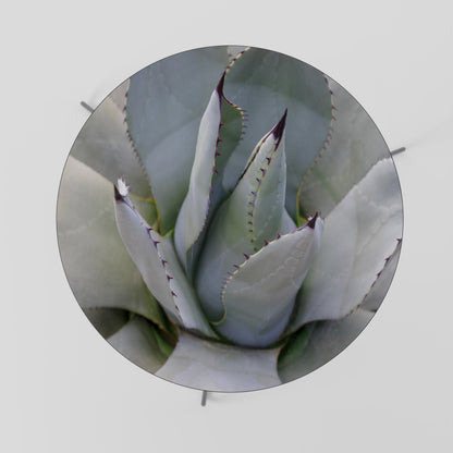 AGAVE ELEGANCE Konferenční stolek