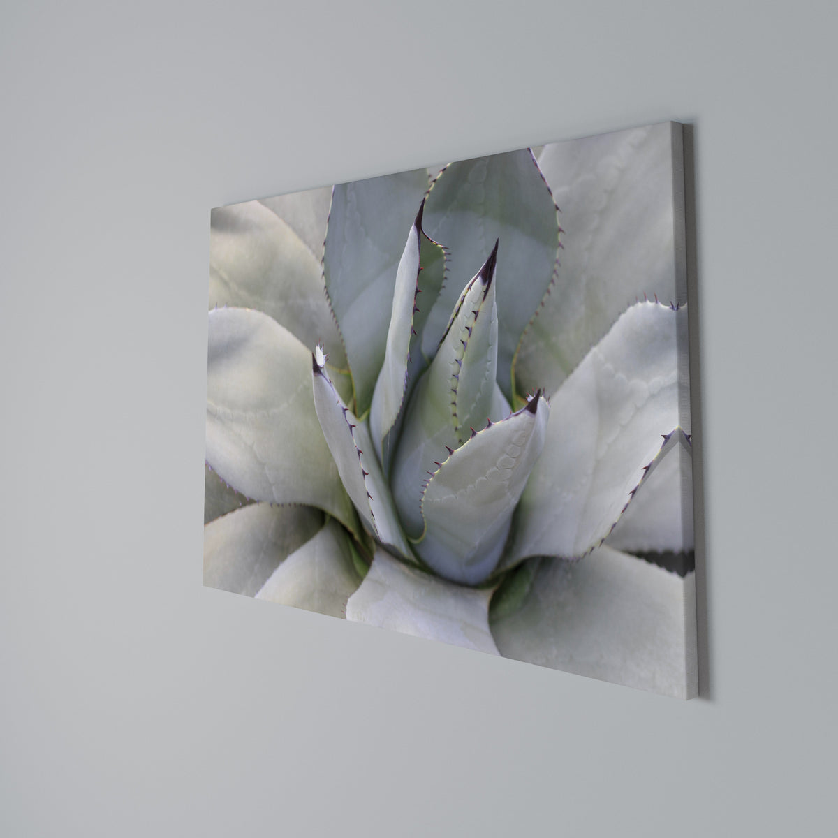 AGAVE ELEGANCE Horizontal Canvas Print
