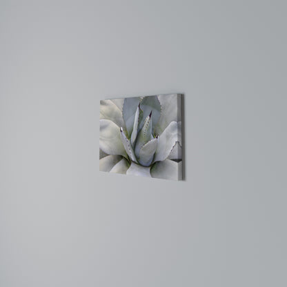 AGAVE ELEGANCE Horizontal Canvas Print