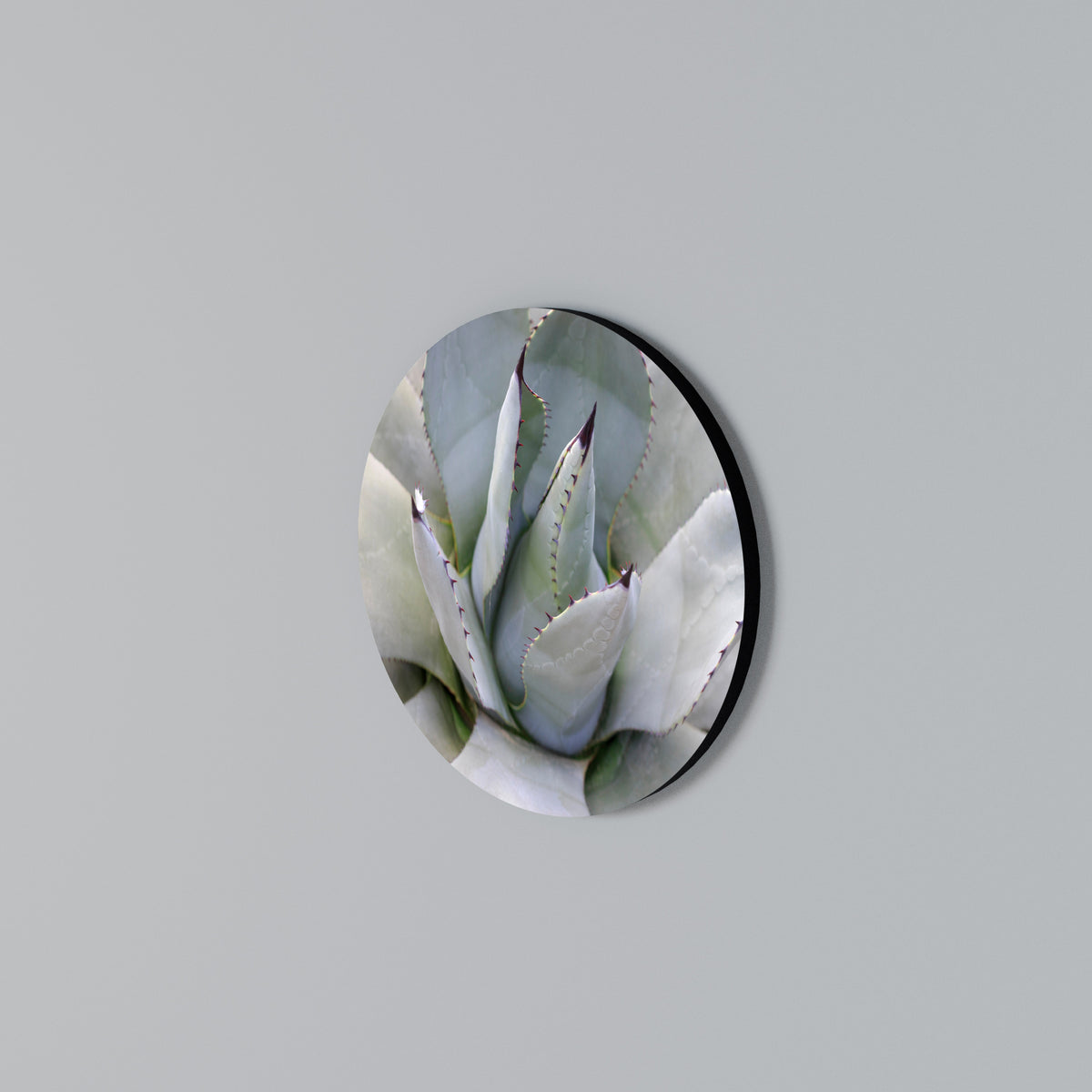 AGAVE ELEGANCE Kulatá nástěnná dekorace