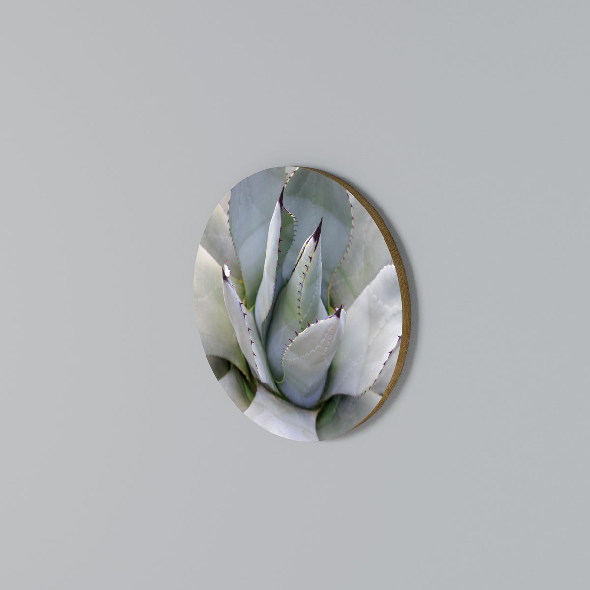 AGAVE ELEGANCE Kulatá nástěnná dekorace