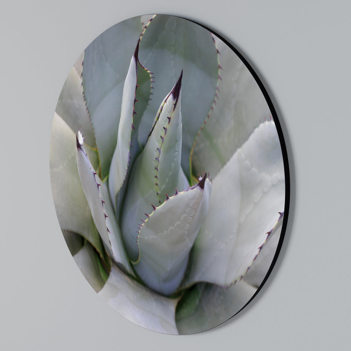 AGAVE ELEGANCE Kulatá nástěnná dekorace