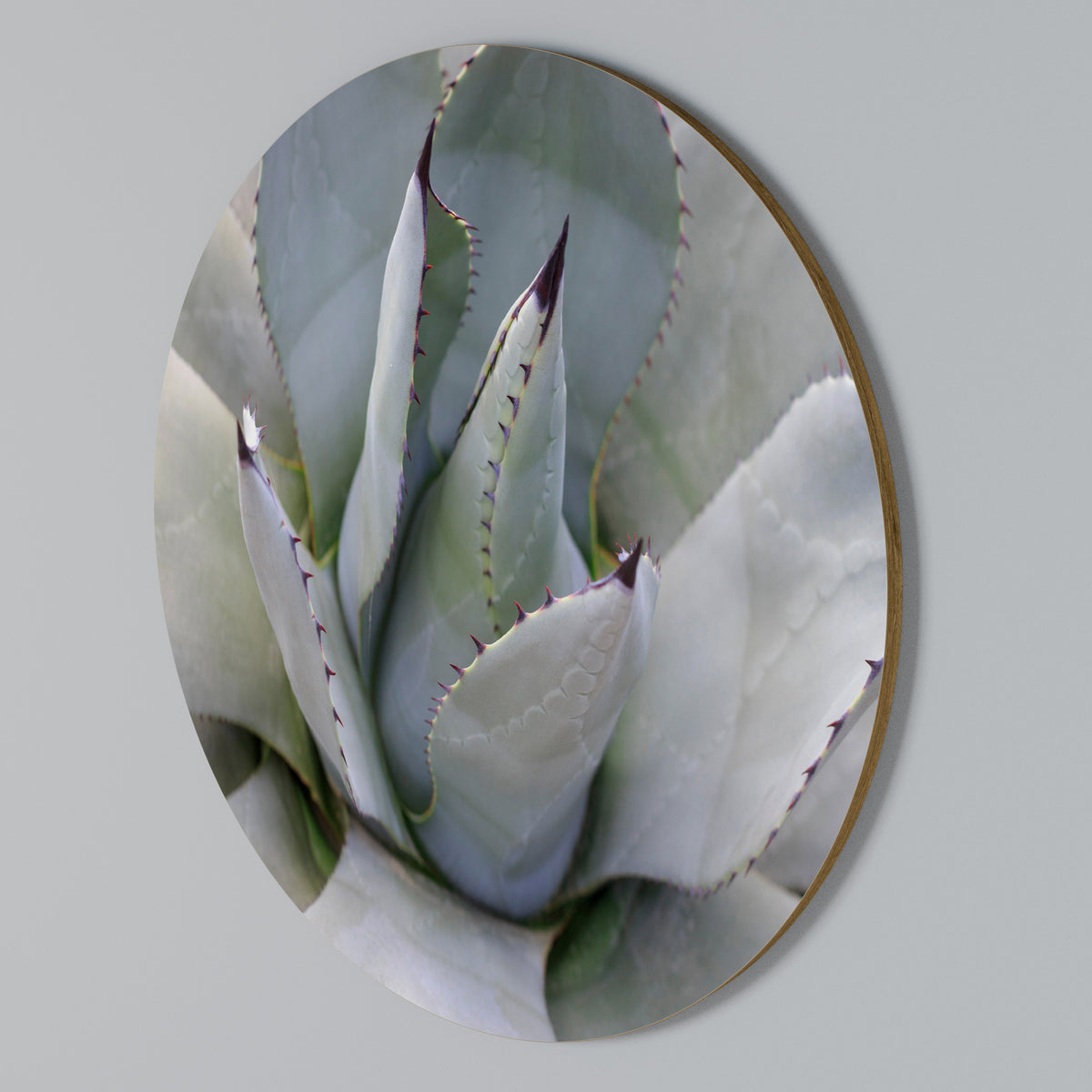 AGAVE ELEGANCE Kulatá nástěnná dekorace