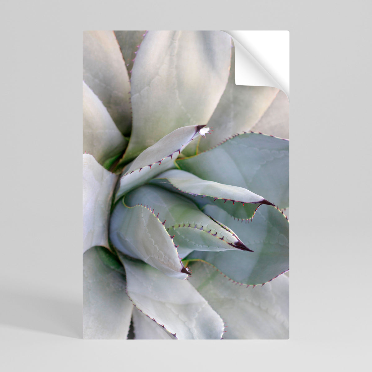 AGAVE ELEGANCE Svislý samolepicí plakát