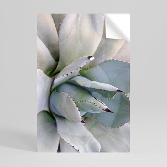 AGAVE ELEGANCE Svislý samolepicí plakát