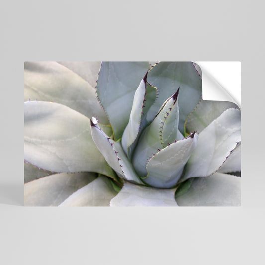 AGAVE ELEGANCE Vodorovný samolepicí plakát