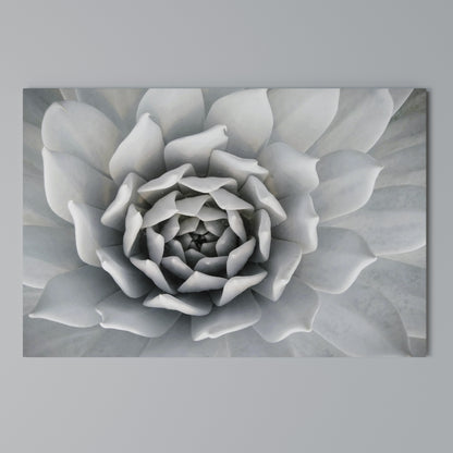 ELEGANT PETAL SWIRL Horizontal Canvas Print