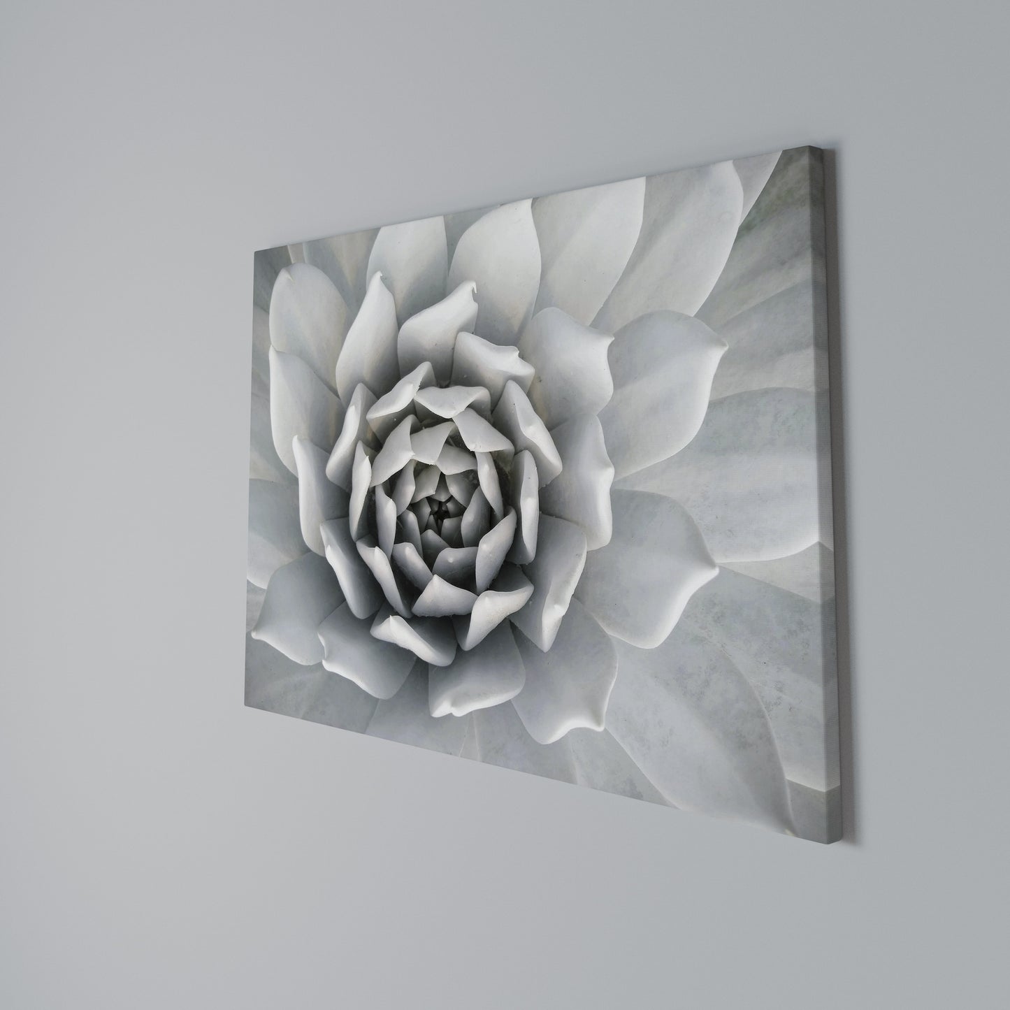 ELEGANT PETAL SWIRL Horizontal Canvas Print