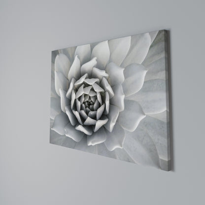 ELEGANT PETAL SWIRL Horizontal Canvas Print