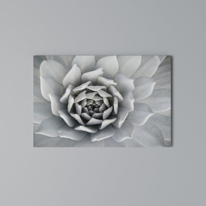 ELEGANT PETAL SWIRL Horizontal Canvas Print