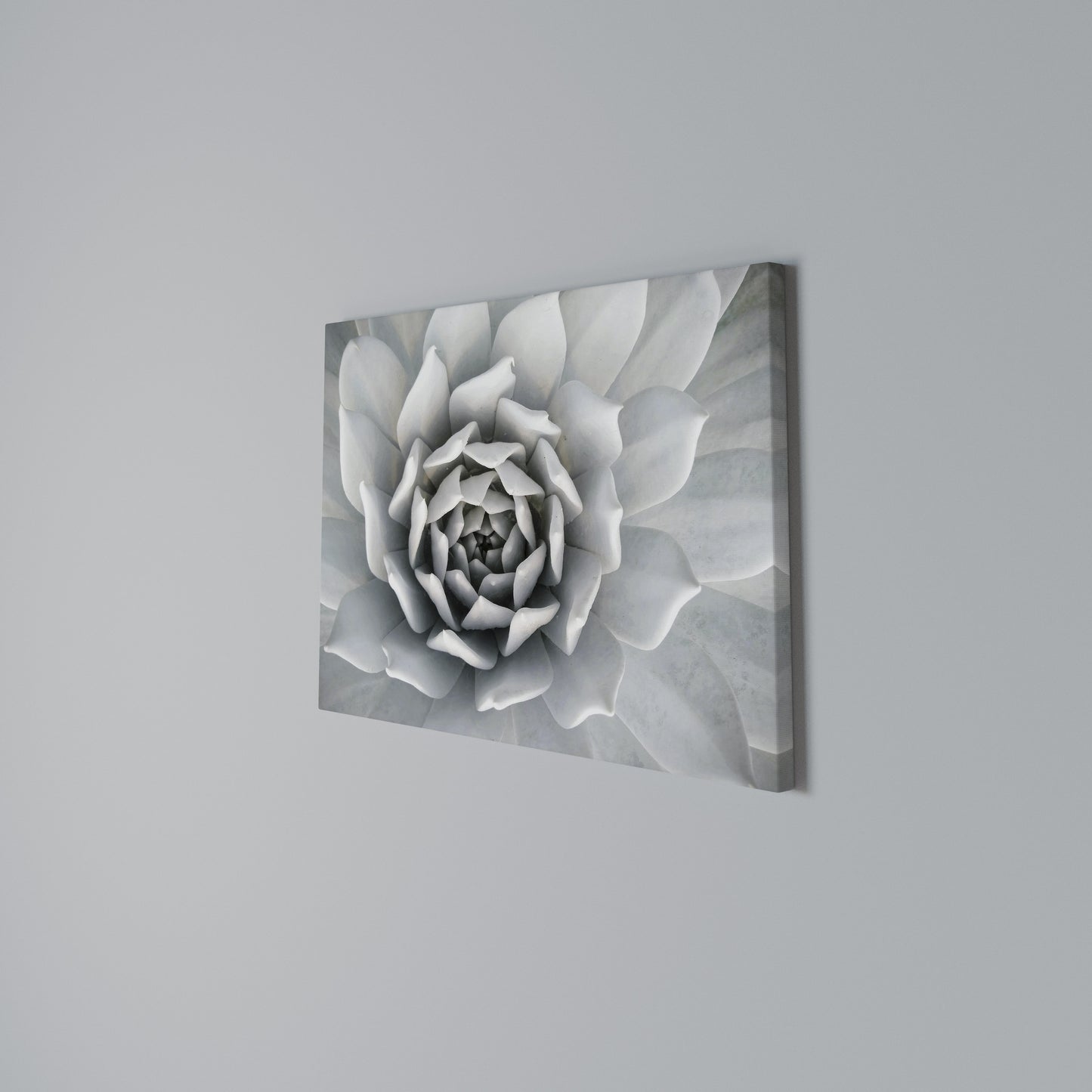 ELEGANT PETAL SWIRL Horizontal Canvas Print