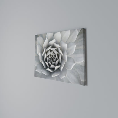 ELEGANT PETAL SWIRL Horizontal Canvas Print