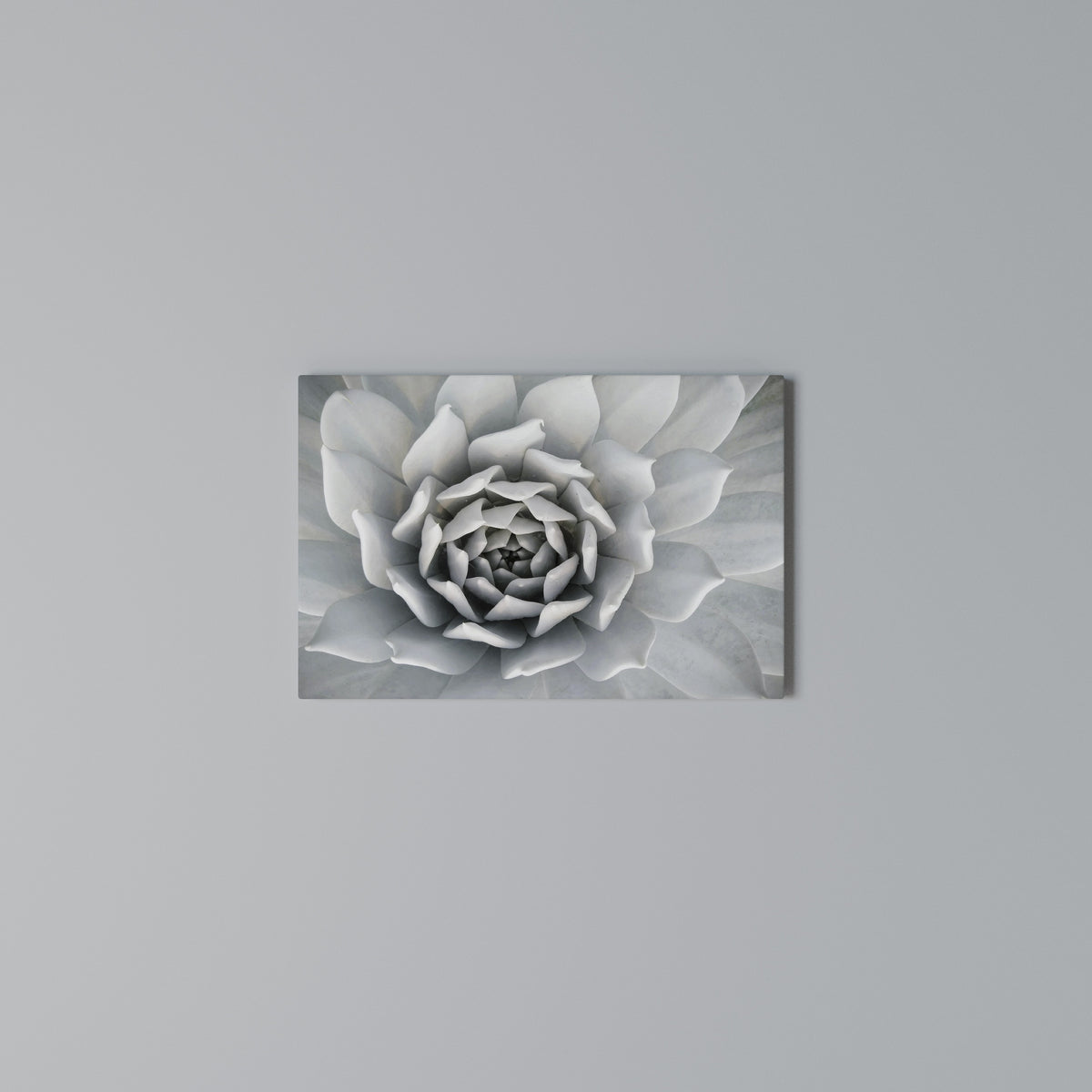 ELEGANT PETAL SWIRL Horizontal Canvas Print