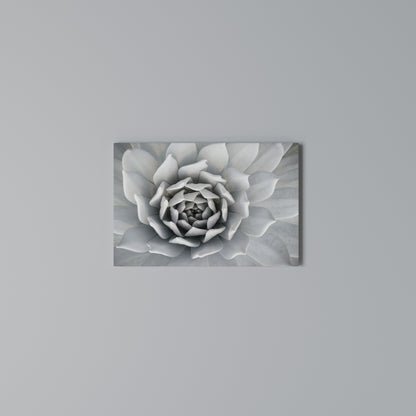 ELEGANT PETAL SWIRL Horizontal Canvas Print