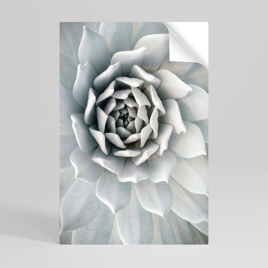 ELEGANT PETAL SWIRL Svislý samolepicí plakát