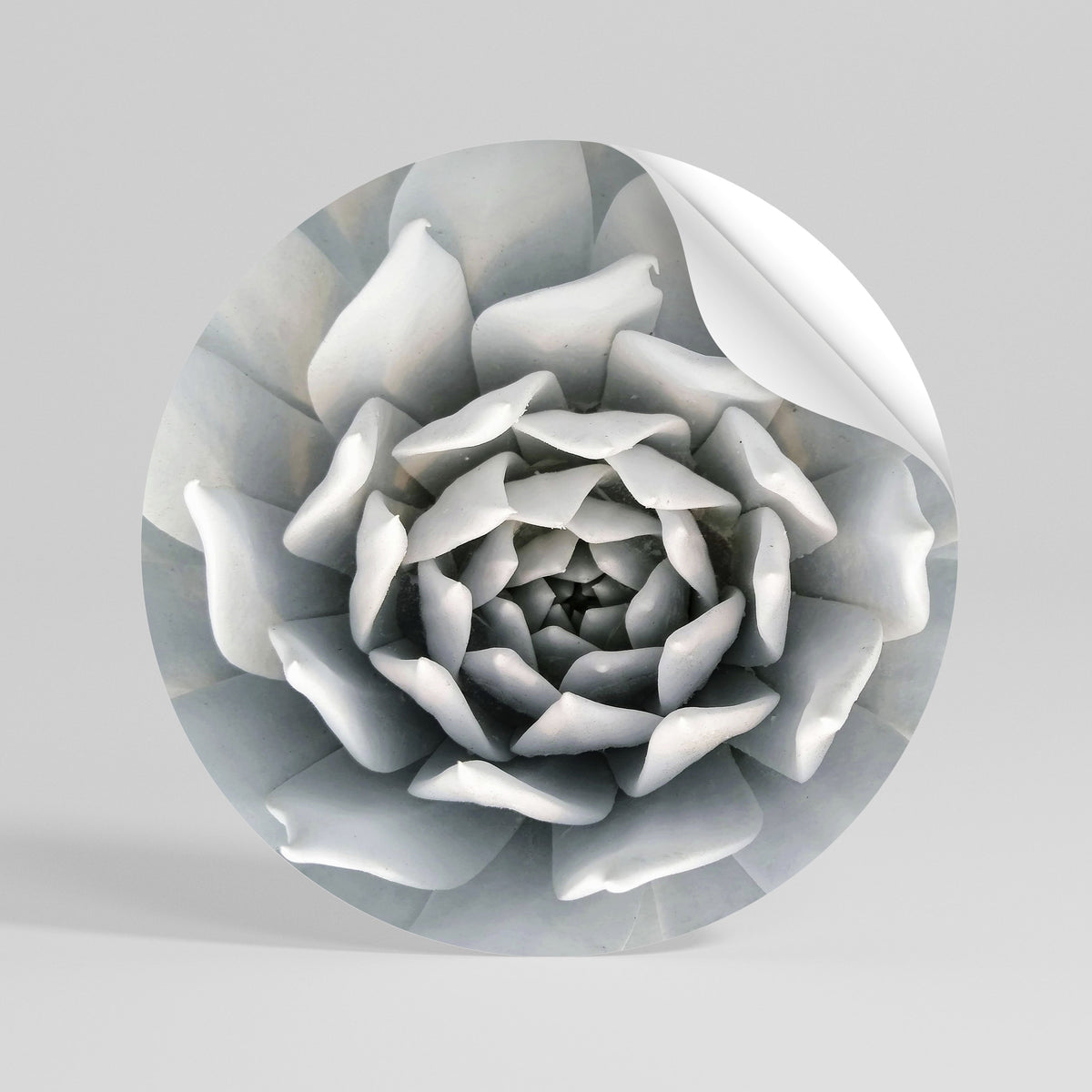ELEGANT PETAL SWIRL Kulatá samolepka