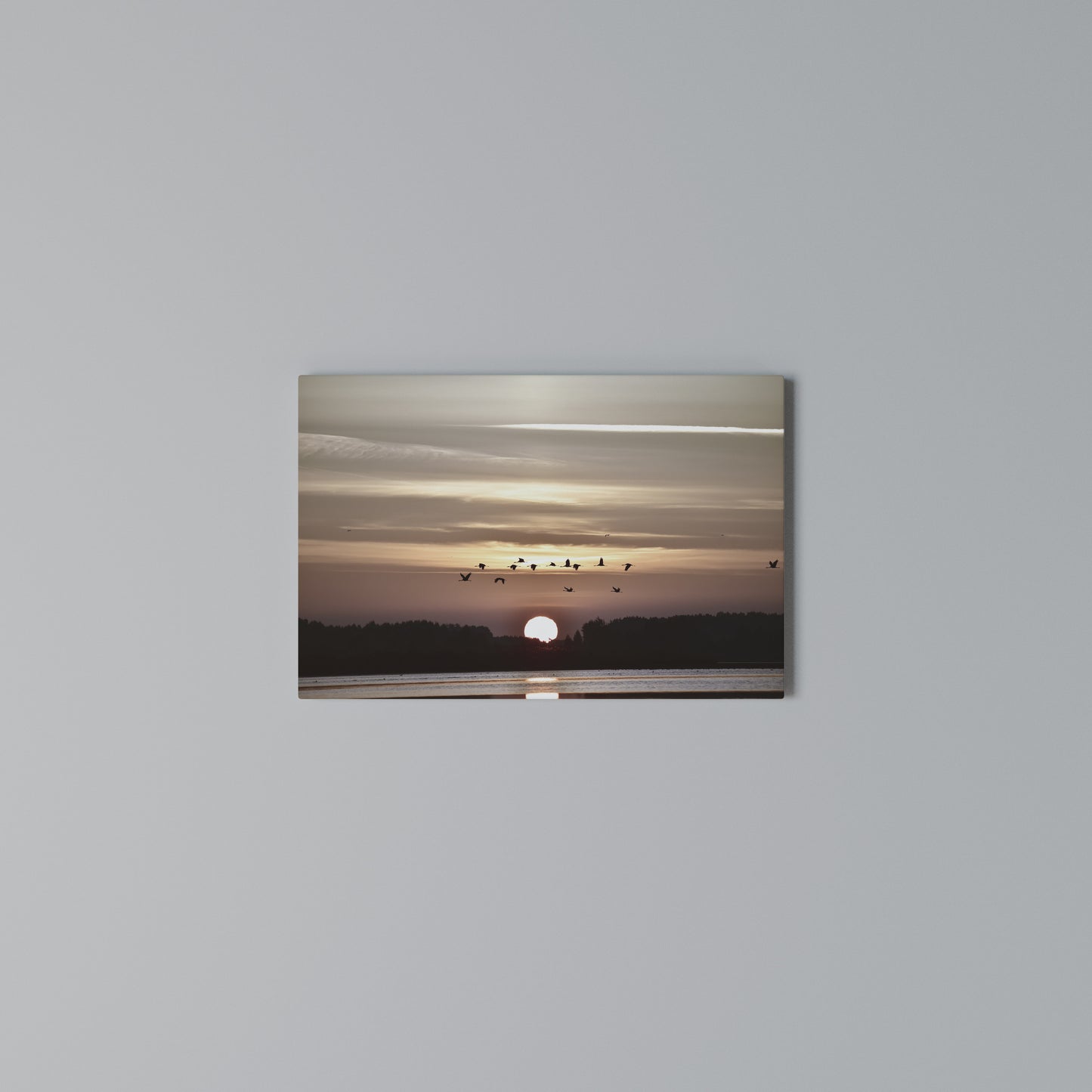 SUNSET FLIGHT SYMPHONY Horizontal Canvas Print