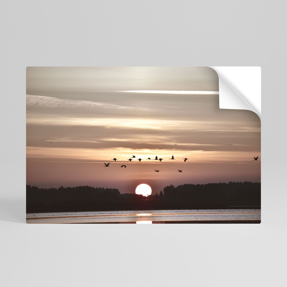 SUNSET FLIGHT SYMPHONY Vodorovný samolepicí plakát